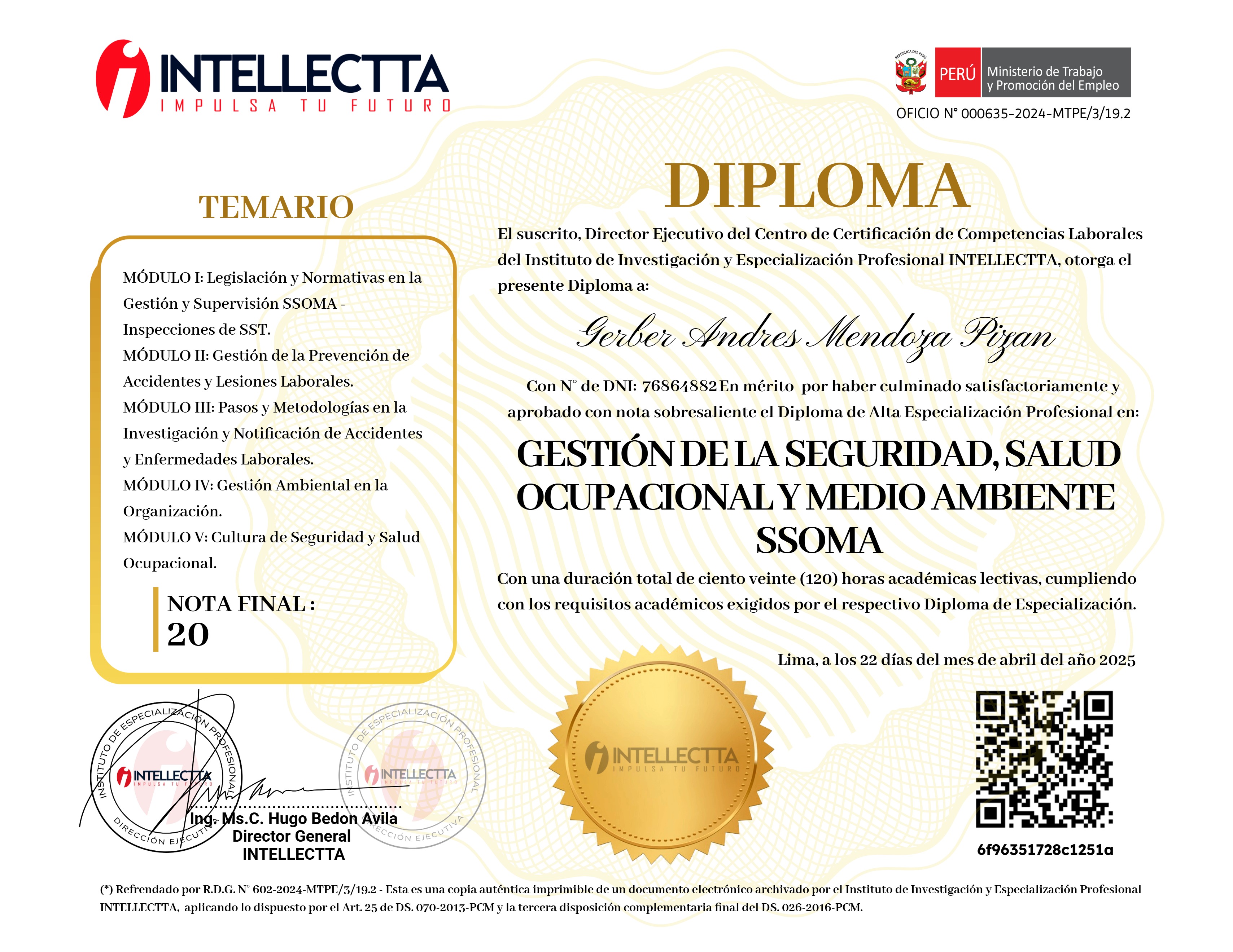 DIPLOMA DE ESPECIALIZACIÓN PROFESIONAL EN LA GESTIÓN INTEGRAL SSOMA 3.0