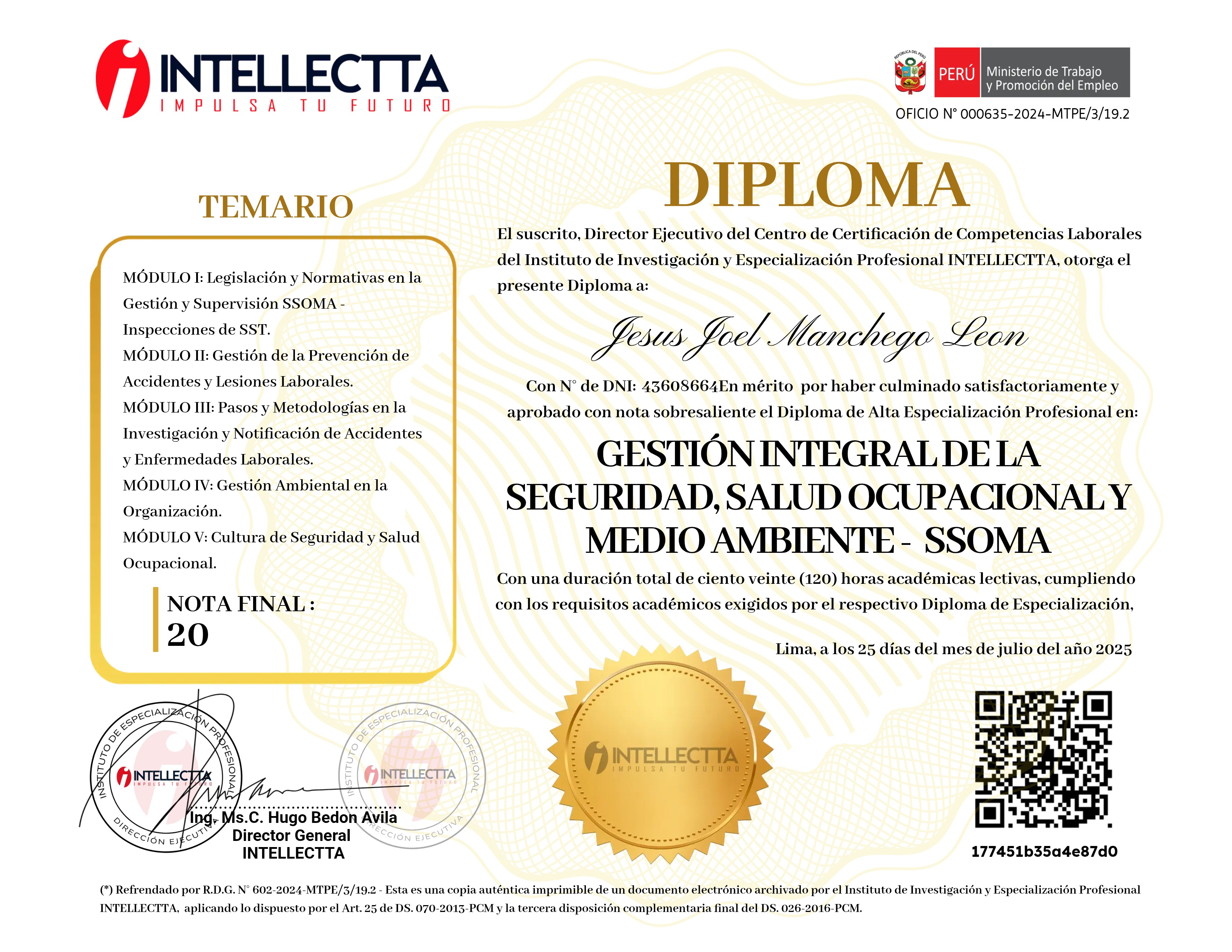 DIPLOMA DE ESPECIALIZACIÓN PROFESIONAL EN LA GESTIÓN INTEGRAL SSOMA 3.0