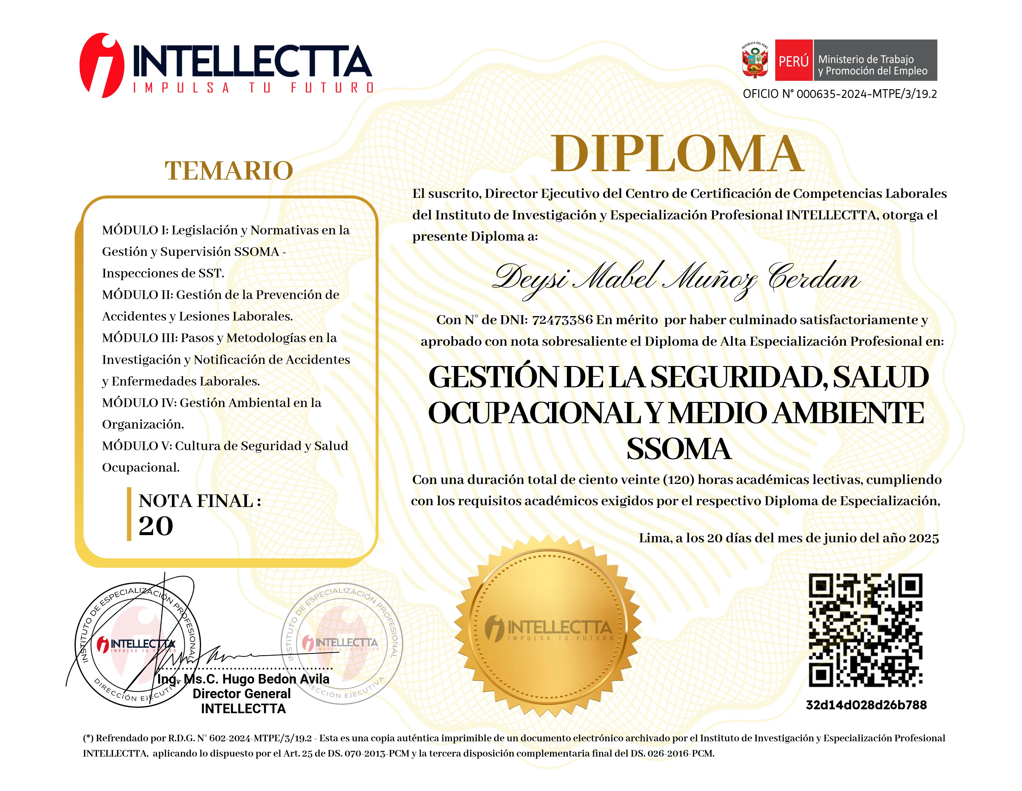 DIPLOMA DE ESPECIALIZACIÓN PROFESIONAL EN LA GESTIÓN INTEGRAL SSOMA 3.0