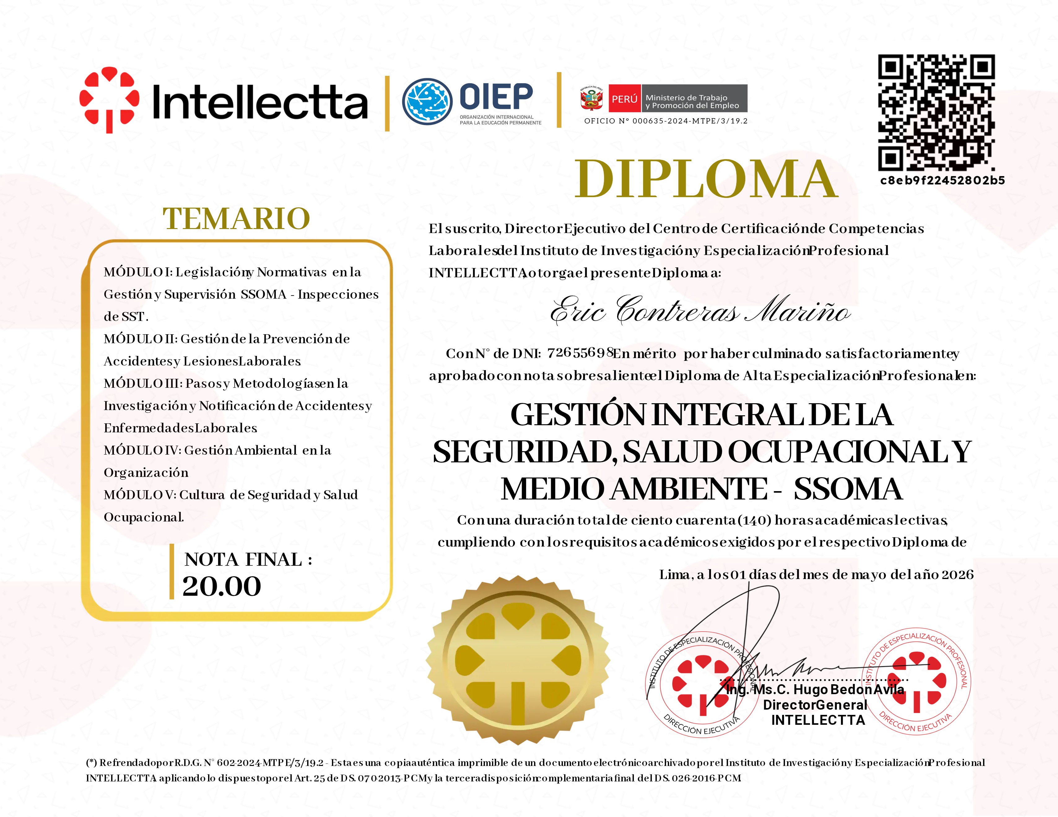 DIPLOMA DE ESPECIALIZACIÓN PROFESIONAL EN LA GESTIÓN INTEGRAL SSOMA 3.0