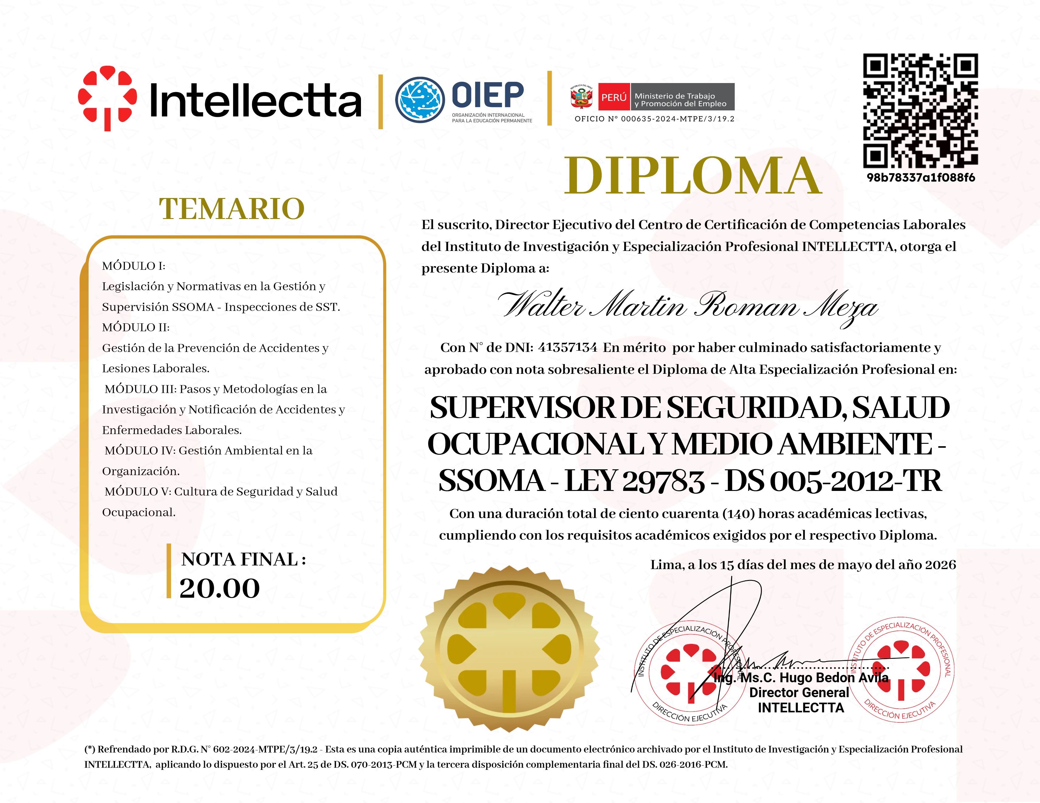 DIPLOMA INTENSIVO DE FORMACIÓN PROFESIONAL DE SUPERVISORES SSOMA 3.0